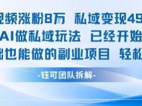 单条视频私域变现4.9k+利用AI做私域玩法 已经开始火热0基础也能做的副业项目轻松上手