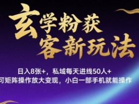 玄学粉获客新玩法日入8张+, 私域每天进线50人+,可矩阵操作放大变现,小白一部手机就能操作