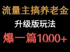 流量主之养老金升级版玩法 爆一篇收益1k+