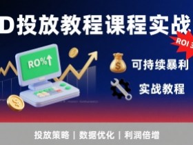 AD投放教程课程实战课,实现广告ROI300%+可持续暴利