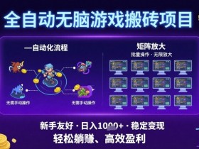 全自动无脑游戏搬砖项目,独家玩法,可批量矩阵无限放大,新手也能轻松日入1k+【揭秘】