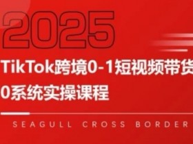 TikTok跨境0-1短视频带货,系统拆解TikTok跨境带货全链路,实现跨境可持续盈利