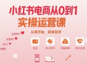 小红书电商从0到1实操运营课,从零开始,简单易学