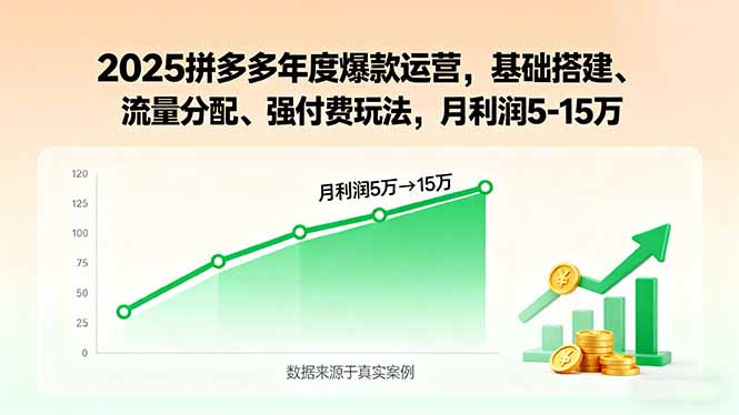 (15973期)2025拼多多年度爆款运营,基础搭建、流量分配、强付费玩法,月利润5-15万