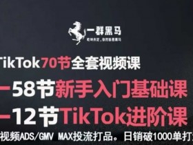 TikTok全套视频课,新手入门+进阶课,短视频ADS-GMV MAX投流打品,日销破1000单打法