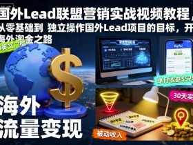 国外Lead联盟营销实战视频教程,从零基础到独立操作国外Lead项目的目标,开启海外淘金之路