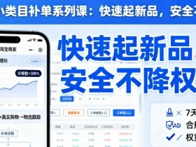 淘宝小类目补单系列课,快速起新品,安全不降权