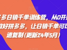 拼多多日销千单训练营,从0开始带你做好拼多多,让日销千单可以快速复制(更新25年10月)
