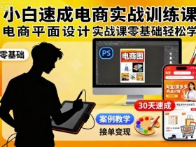 小白速成电商实战训练课,电商平面设计实战课零基础轻松学
