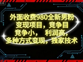 外面收费980全新男粉变现项目,竞争小,利润高,多种方式变现,独家技术