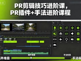 PR剪辑技巧进阶课,PR插件+手法进阶课程