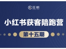 抖音小红书视频号短视频带货与直播变现(11-18期),打造爆款内容，实现高效变现（更新）