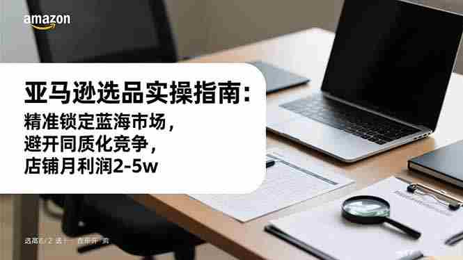 （16523期）亚马逊选品实操指南：精准锁定蓝海市场，避开同质化竞争，店铺月利润2-5w