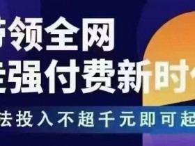 王校长拼多多无限活动流,带领全网走强付费新时代,玩法投入不超千元即可起店