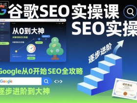 谷歌SEO实操课,Google从0开始SEO全攻略,逐步进阶到大神