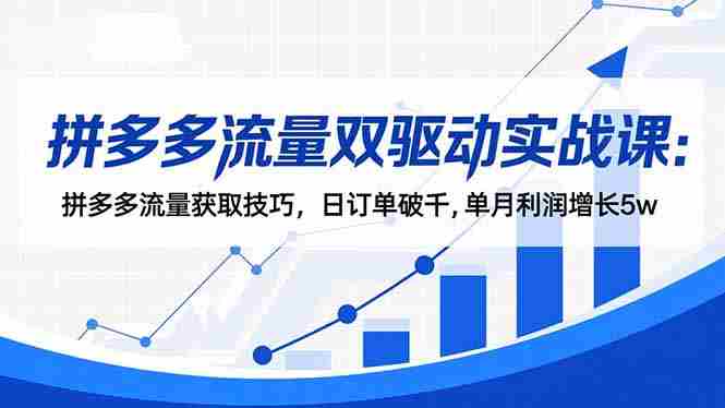 (16563期)拼多多流量双驱动实战课:拼多多流量获取技巧,日订单破千,单月利润增长5w