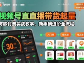 视频号直播带货起量与微付费实战教学,新手到进阶全流程