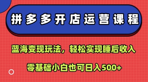 拼多多开店运营课程：蓝海变现玩法，轻松实现睡后收入，零基础小白也可日入5张 -1