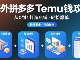 海外拼多多temu钱攻略从0到1打造店铺,轻松爆单