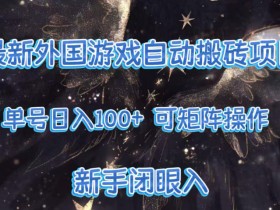 最新外国游戏自动搬砖项目,单号100+,可以矩阵操作,新手也可做【揭秘】