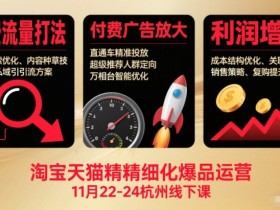 淘宝天猫精细化爆品运营11月22-24杭州线下课,免费流量打法+付费广告放大+利润增长(音频+文档)