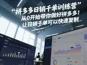 拼多多日销千单训练营,从0开始带你做好拼多多,让日销千单可以快速复制(更新26年2月)