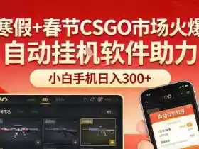 寒假+春节CSGO市场火爆,配合游戏自动挂G软件,小白只用一台手机也可日入3张【揭秘】