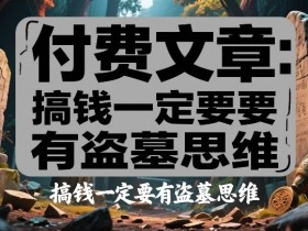 付费文章:搞钱一定要有盗墓思维
