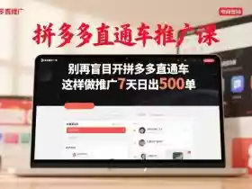 拼多多直通车推广课，别再盲目开拼多多直通车，这样做推广7天日出500单