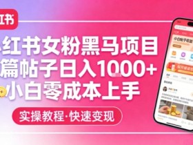 小红书女粉黑马项目,单篇帖子日入1k+,小白零成本上手