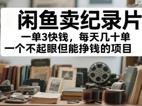 闲鱼卖纪录片，一单3快钱，每天几十单，一个不起眼但能挣钱的项目【揭秘】