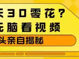 1天30零花?无脑看视频,大佬亲自揭秘