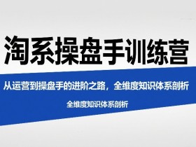 淘系操盘手训练营,从运营到操盘手的进阶之路,全维度知识体系剖析(更新)