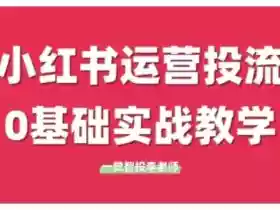 小红书运营投流,小红书广告投放从0到1的实战课,学完即可开始投放(更新26年)