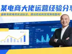 某电商大佬运营经验分享,最新系统电商实战玩法,跳出低毛利实现高效盈利(更新)