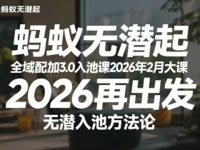 蚂蚁无潜不起全域配抖加3.0入池课2026年2月大课,2026再出发,无潜入池方法论