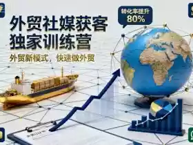 外贸社媒获客独家训练营,外贸新模式,快速做外贸(更新26年2月)