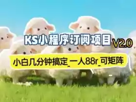 【新一期】小程序订阅_小白几分钟70-80r,可矩阵(已测到账)