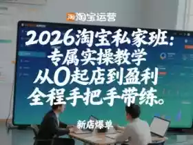 2026淘宝私家班：专属实操教学，从0起店到盈利，全程手把手带练（更新）