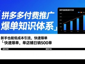 拼多多付费推广爆单知识体系,新手也能低成本引流,快速爆单,单店铺日销500单