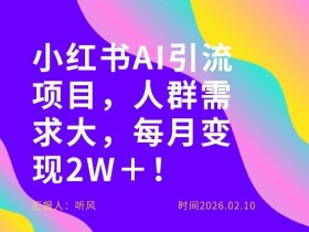 她通过这个AI项目每月做到2W+的收入,最新小红书AI项目,人群需求大!
