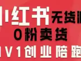 小红书无货源0粉电商课,开店准备、选品策略、笔记撰写、视频剪辑、数据分析、账号打造、资料文档(更新26年2月)