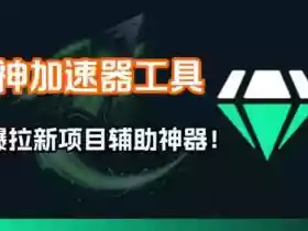 雷神加速器项目模拟器_无脑1分钟1条视频矩阵_疯狂报单打法【焚诀】
