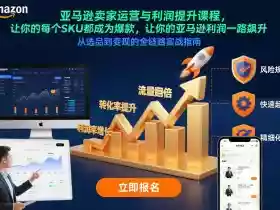 亚马逊卖家运营与利润提升课程，让你的每个SKU都成为爆款，让你的亚马逊利润一路飙升（更新26年3月）