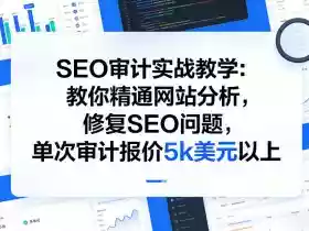 SEO审计实战教学:教你精通网站分析,修复SEO问题,单次审计报价5k美元以上