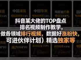 抖音某大佬的TOP盘点排名视频制作,做各领域排行视频,数据好涨粉快,可进伙伴计划+精选独家等