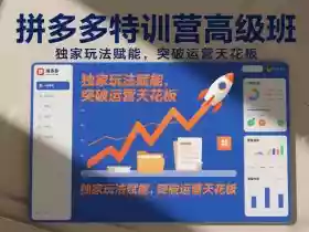 拼多多特训营高阶班,独家玩法赋能,突破运营天花板(更新26年5月01日)