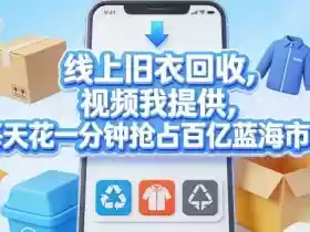 线上旧衣回收,视频我提供,每天花一分钟抢占百亿蓝海市场【揭秘】