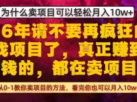 为什么真正賺到钱的都在卖项目,从0-1教你卖项目的方法,看完你也可以月入10w+【揭秘】