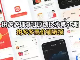 拼多多打爆班原创技术第55期,拼多多高价铺链接